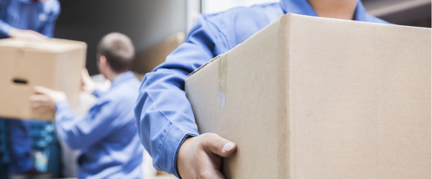 Experienced, Trustworthy Moving Professionals 